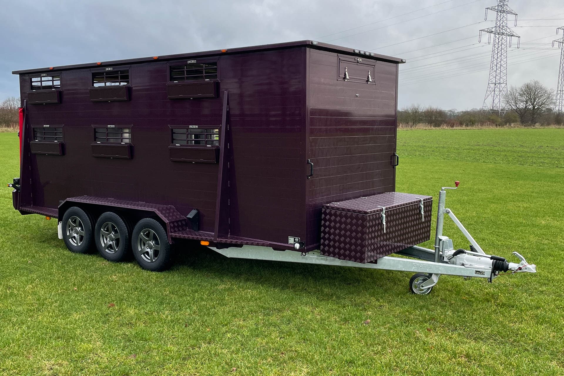 BAOS BVAD Serie Rinderanhänger festes Dach (45 von 54)