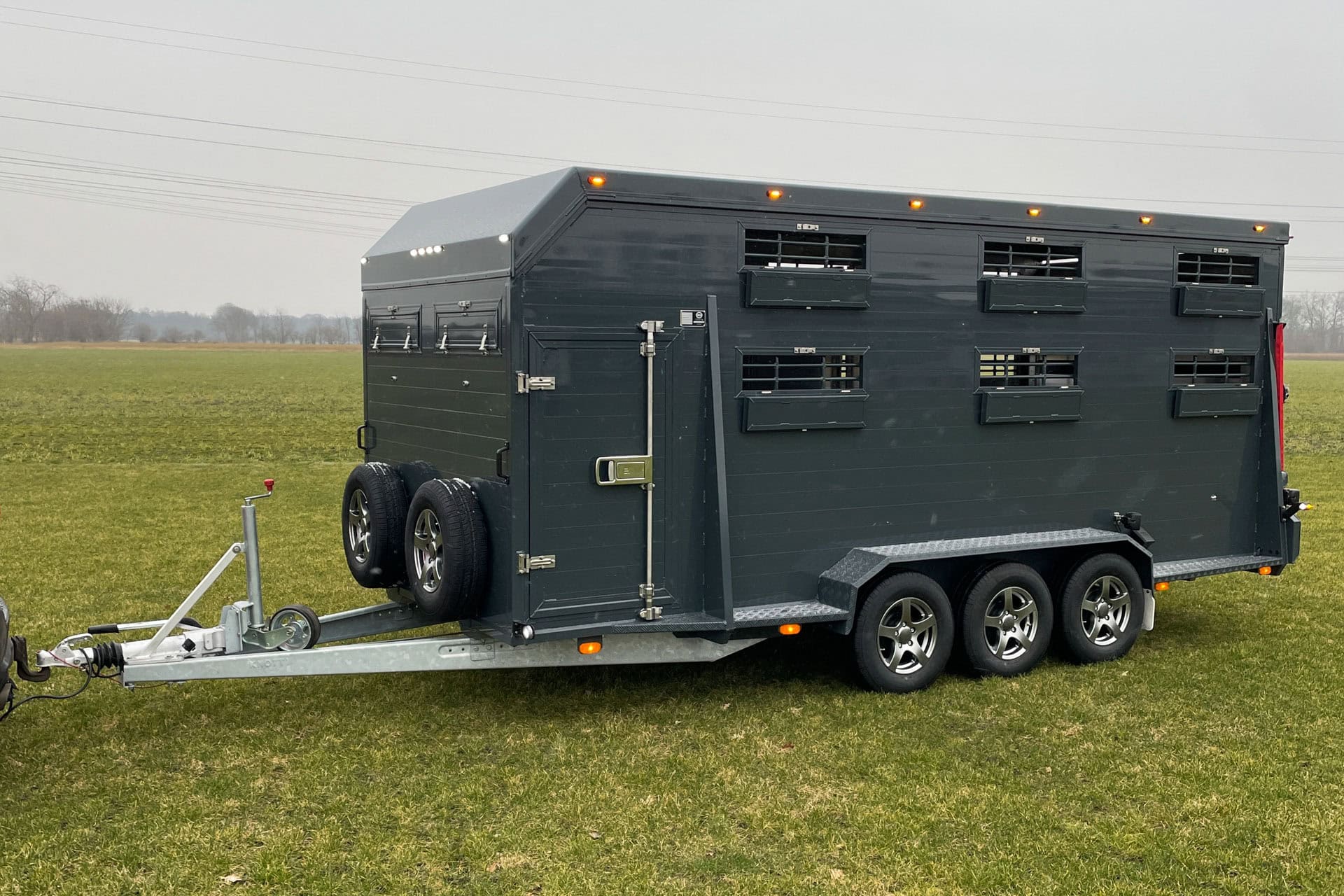 BAOS BVAD Serie Rinderanhänger festes Dach (48 von 54)